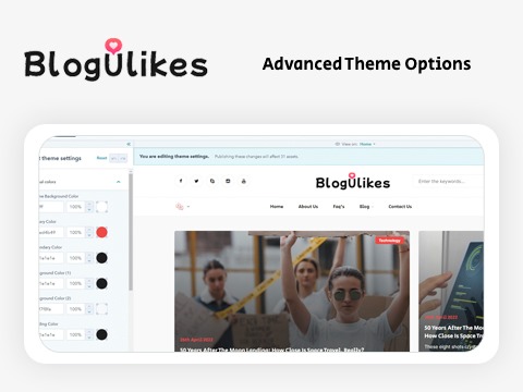 Advance Theme Options