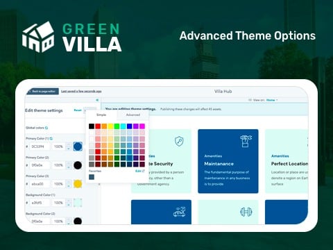 Advance Theme Options