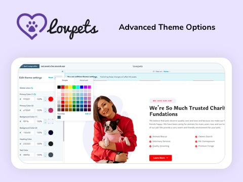 Advance Theme Options