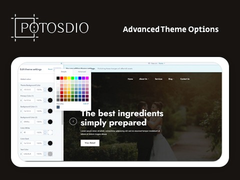Advance Theme Options