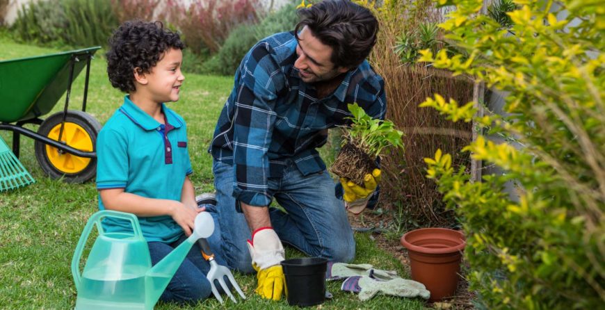 Why we should choose the Gardenhub?