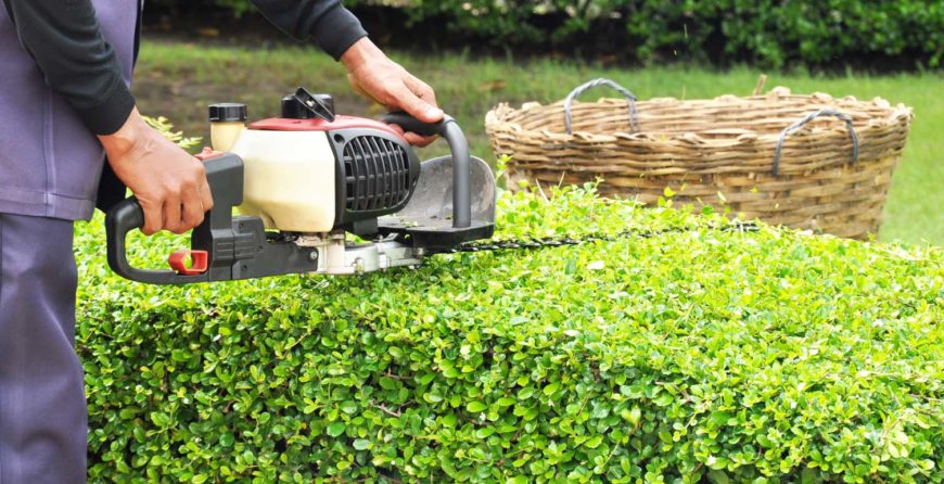 How Landscaping Can Add Curb Appeal to Your Home?