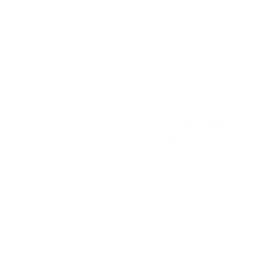 icon-2