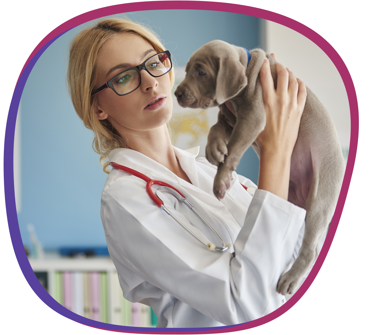 lv-pets-ban-1-1